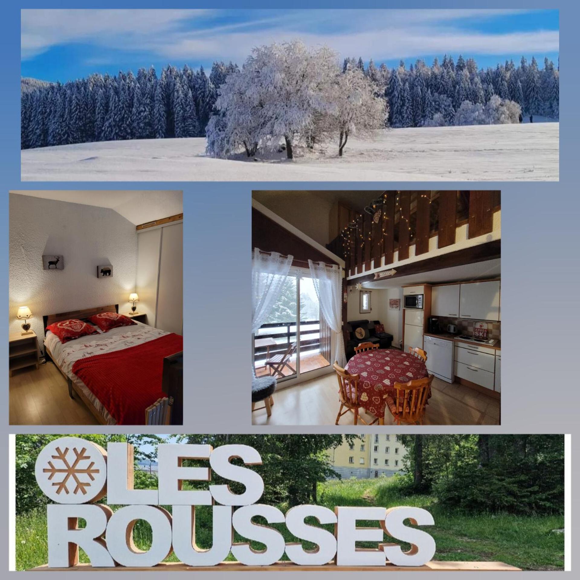 Le Duplex, Superbe Cocon Au Coeur Des Rousses, Tout Confort 5 Pers, Draps Inclus Les Rousses Luaran gambar